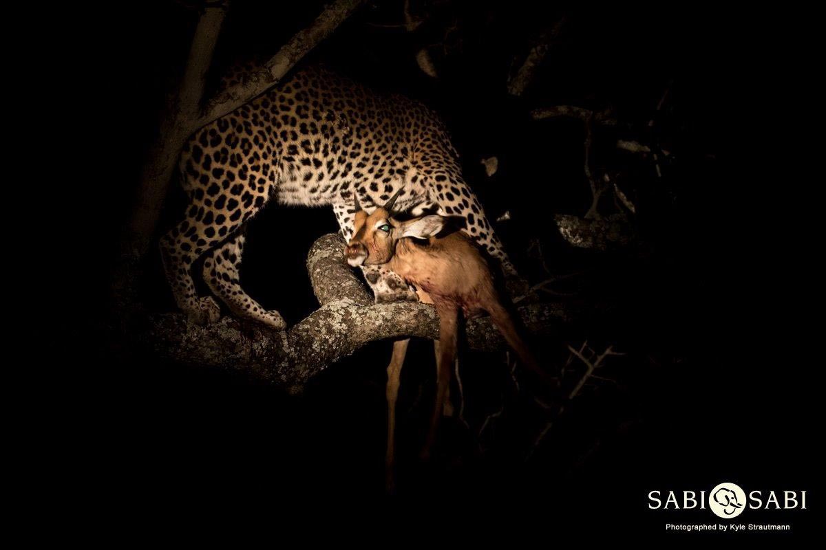 16Kyle 7 July Maxabene Mala Bamba 3 Final