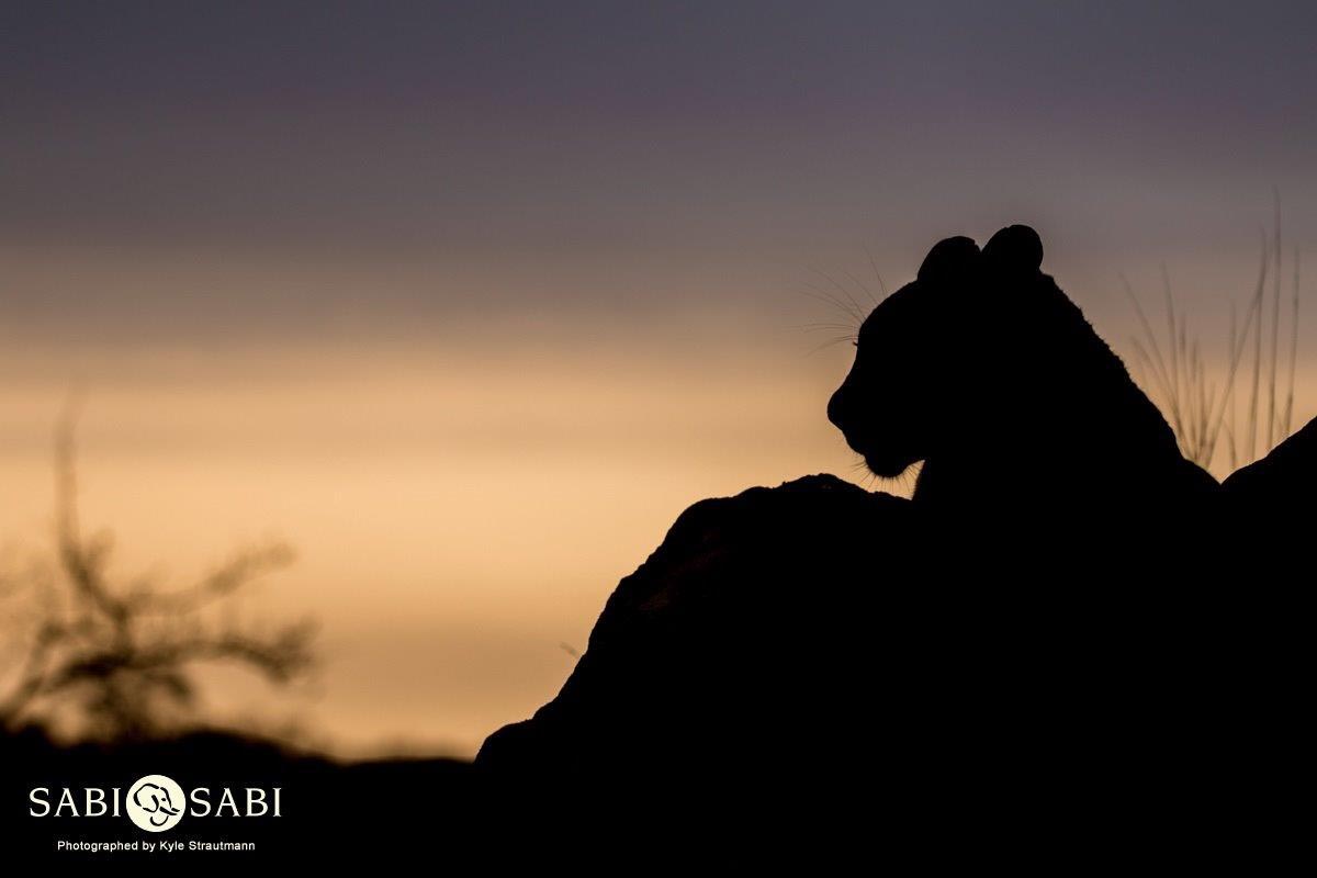 02Kyle 20 Sep Ntsumi  2 Final