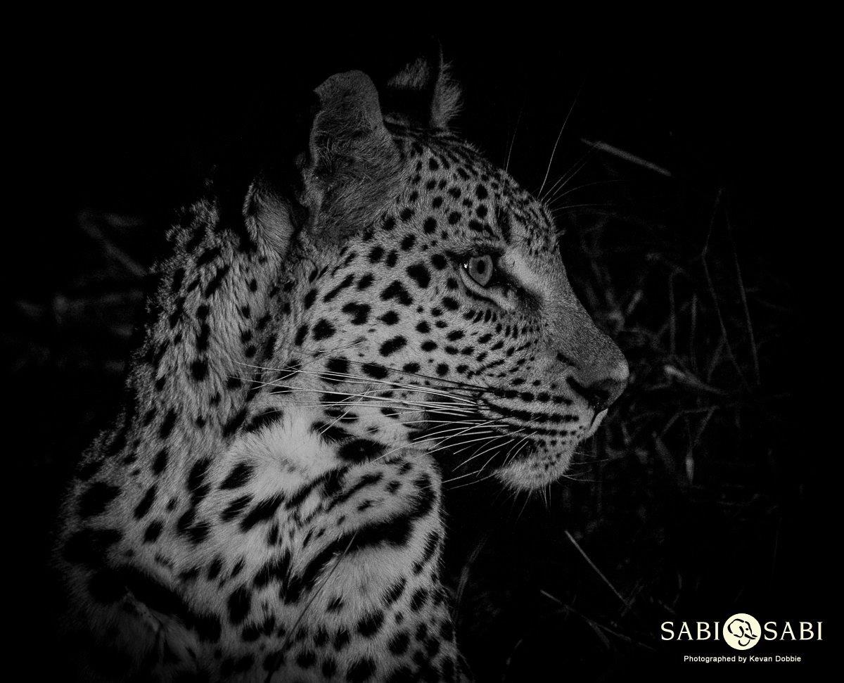 12Kevan Dobbie Ntsumi 1911.3 Final