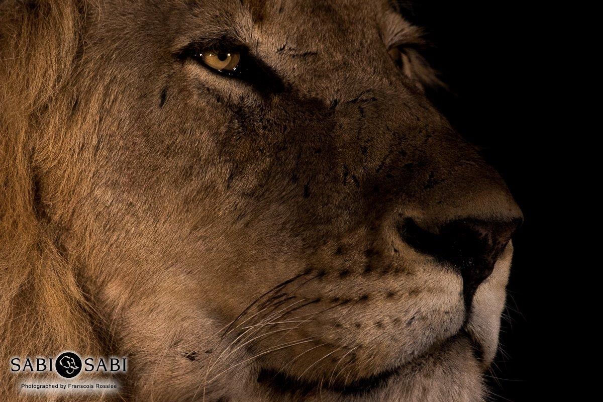 25Franscois Rosslee Avoca 1 Of 1 Final