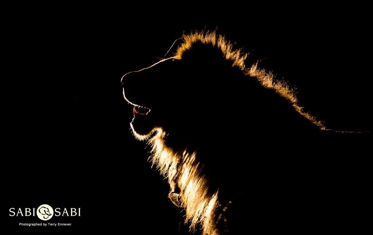 32Terry Ennever Matimba 211117 5 Final 32Terry Ennever Matimba 211117 5 Final