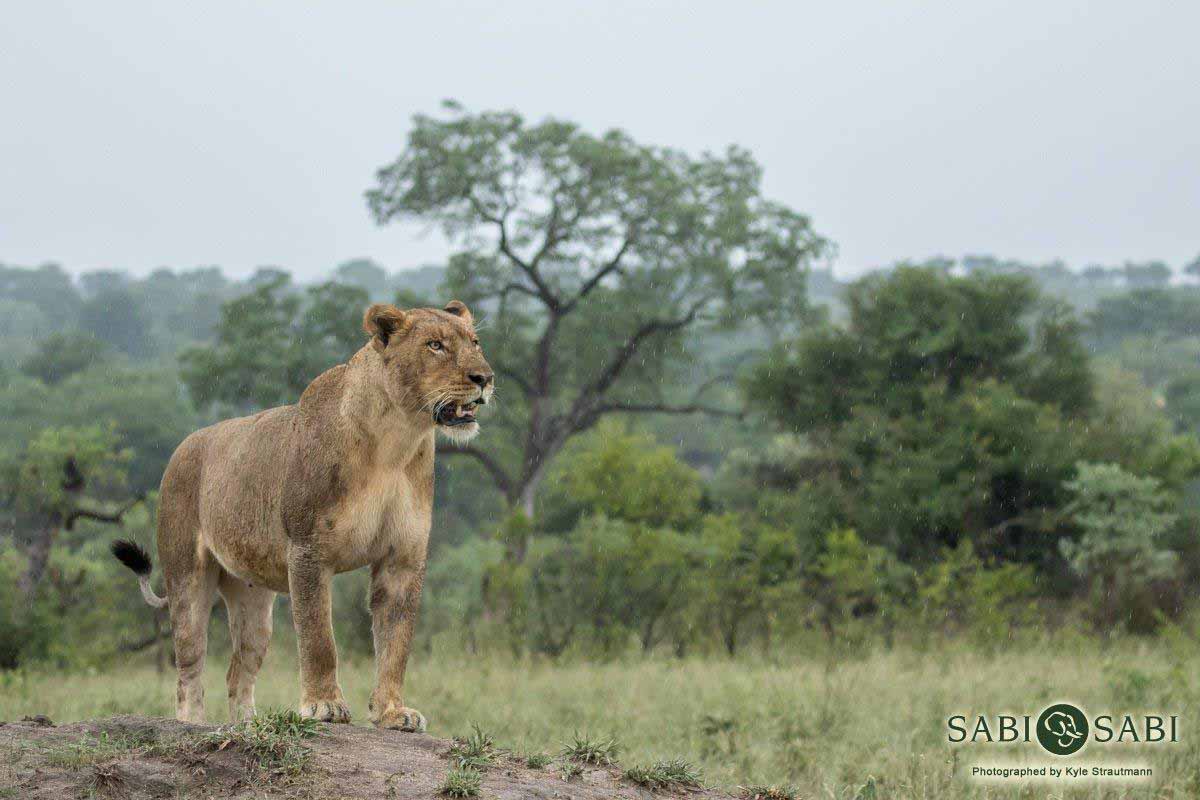 06Kyle 29 Dec Kambula Birmingham M 29 Final