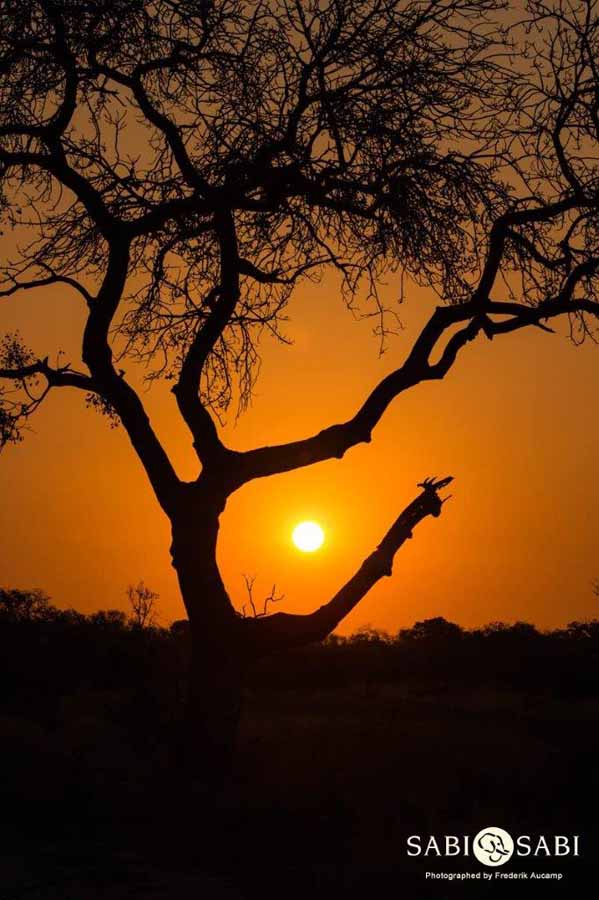 35Frederik Aucamp Sunset 1 Final