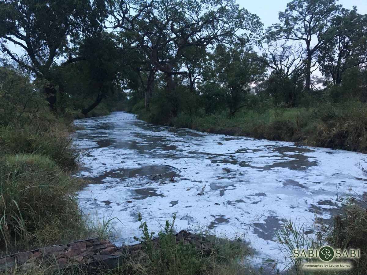 01Louise Murray River 31012018 Final 01Louise Murray River 31012018 Final