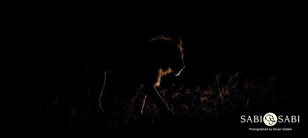 08Kevan Dobbie Mangeni Cubs 200218 8 Final