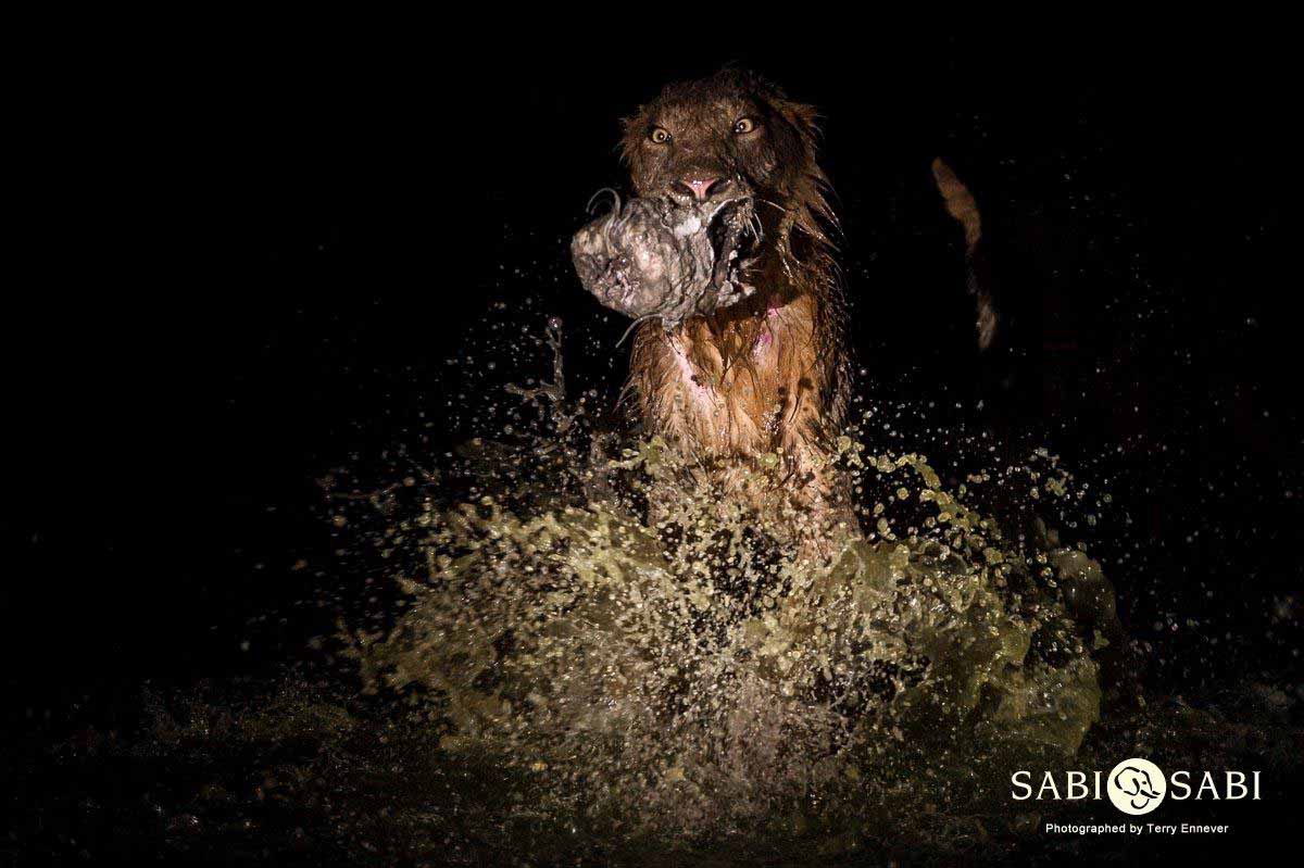 37Terry Ennever Mhangeni 21318 11 Final