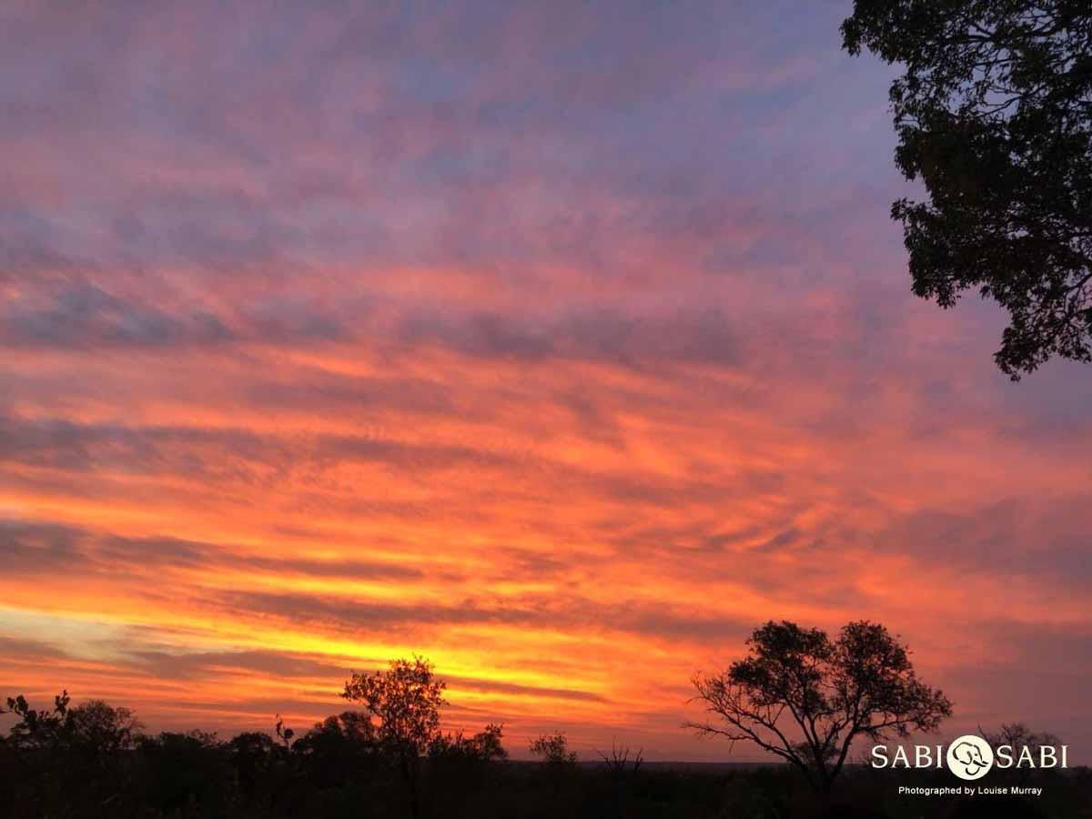 46Louise Murray Sunset 19032018 Final 46Louise Murray Sunset 19032018 Final