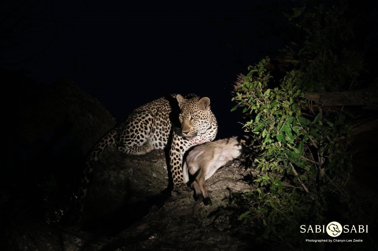 30Chanyn Lee Zeelie Msuthlu 1 Final