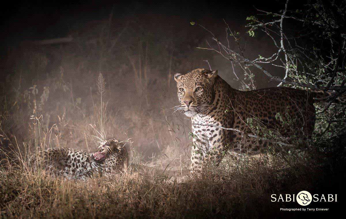 33Terry Ennever WDMSMB 2018510 3 Final