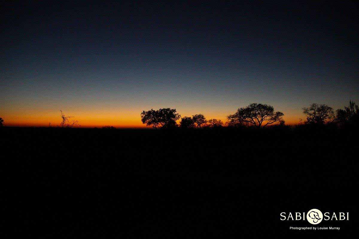 01Louise Murray EL Sunrise 1 Final 01Louise Murray EL Sunrise 1 Final