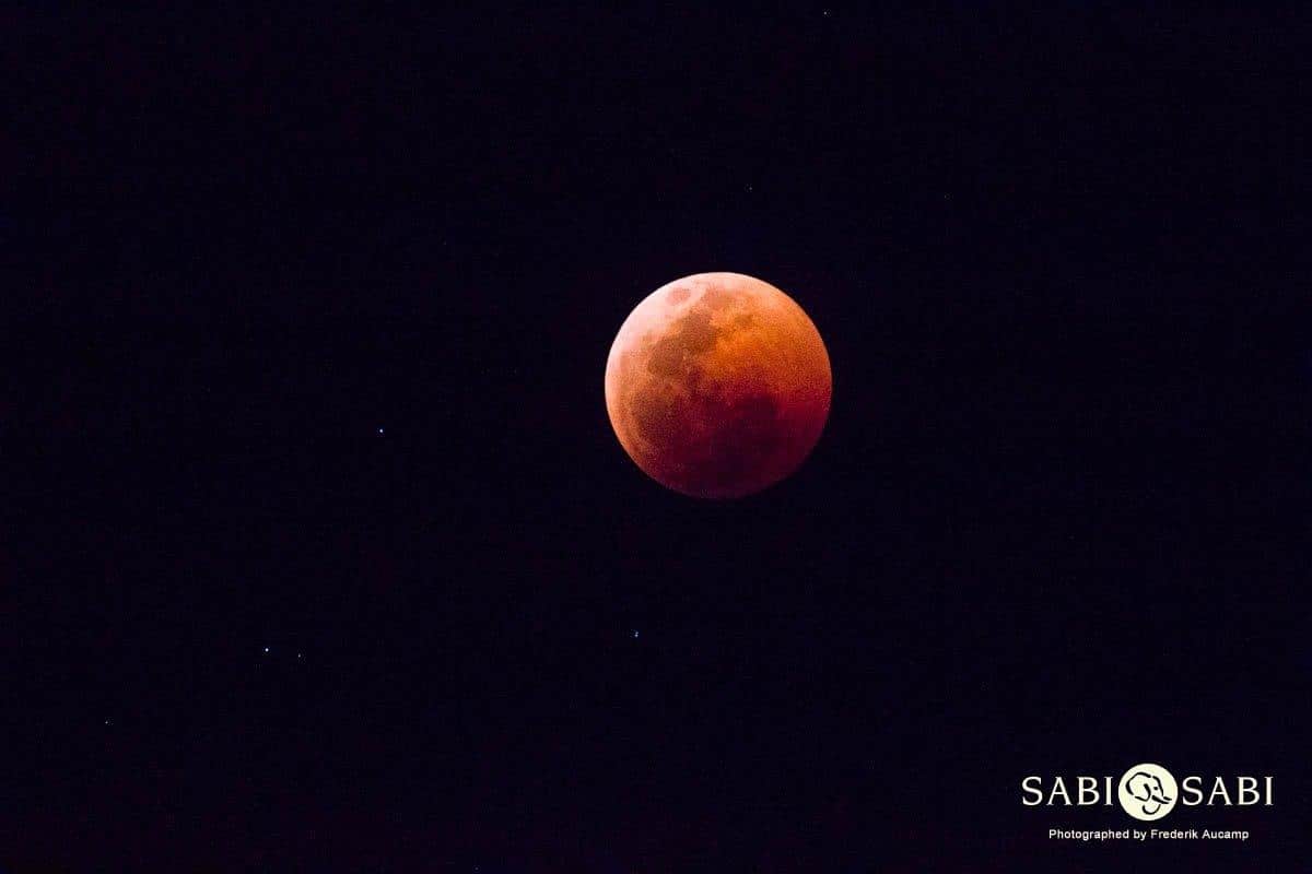 21Frederik Aucamp Blood Moon Final 21Frederik Aucamp Blood Moon Final