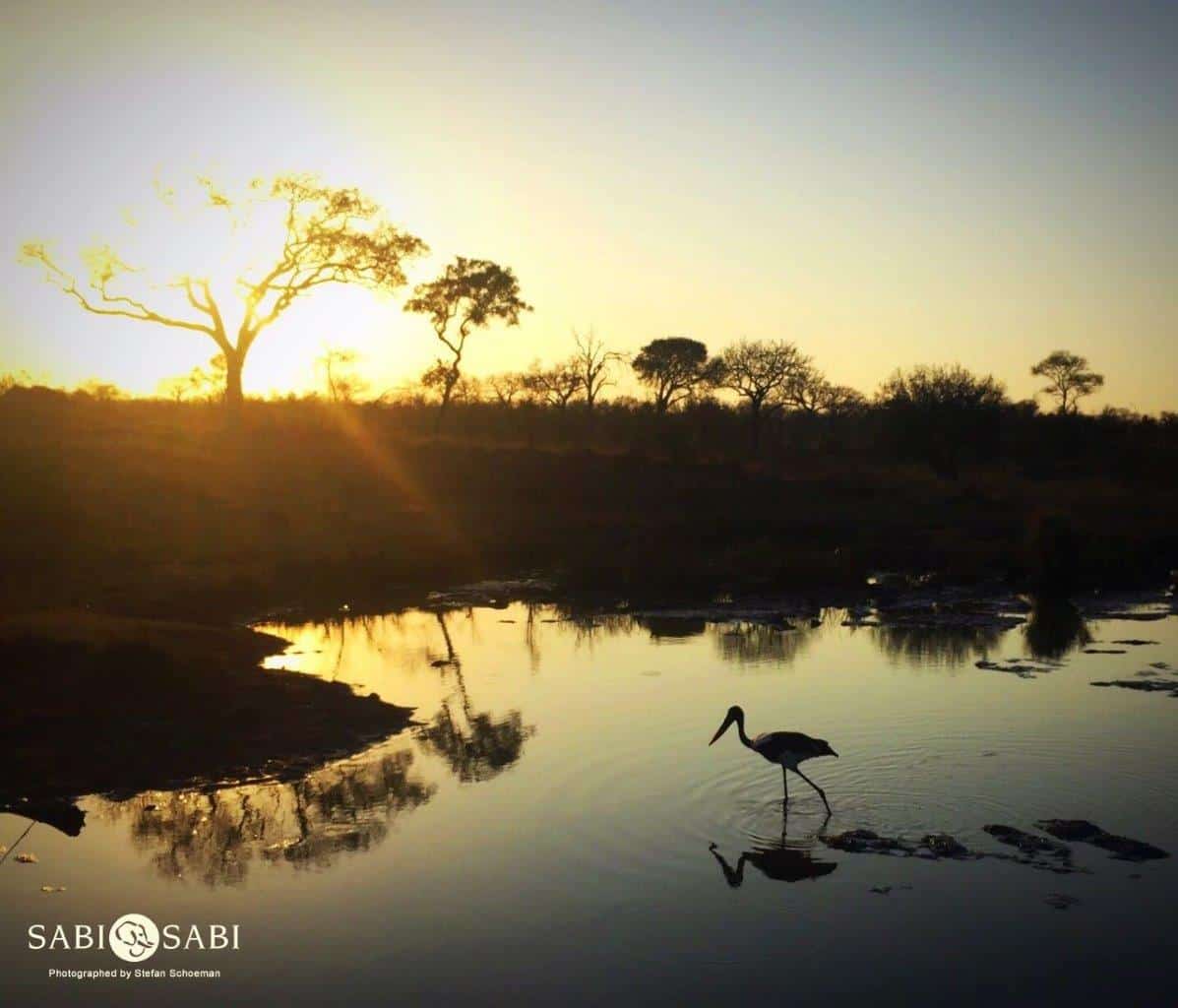 33Stefan Schoeman SBS Sunrise Final