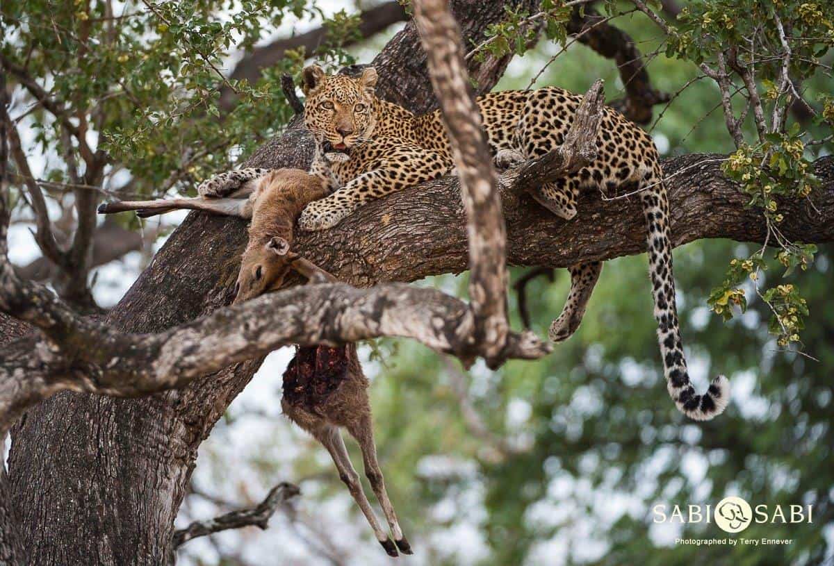 02Terry Ennever LBC 201886 Final