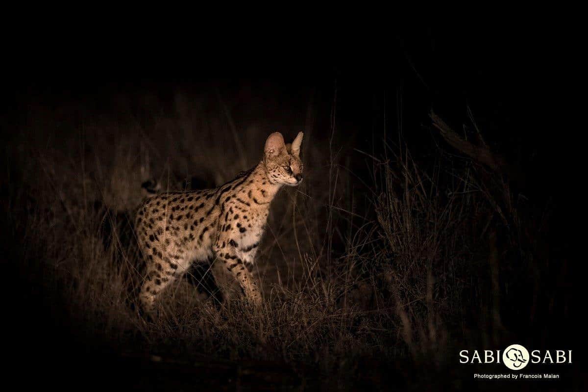27Francois Malan Serval 20181015 1 Of 1 Final 27Francois Malan Serval 20181015 1 Of 1 Final