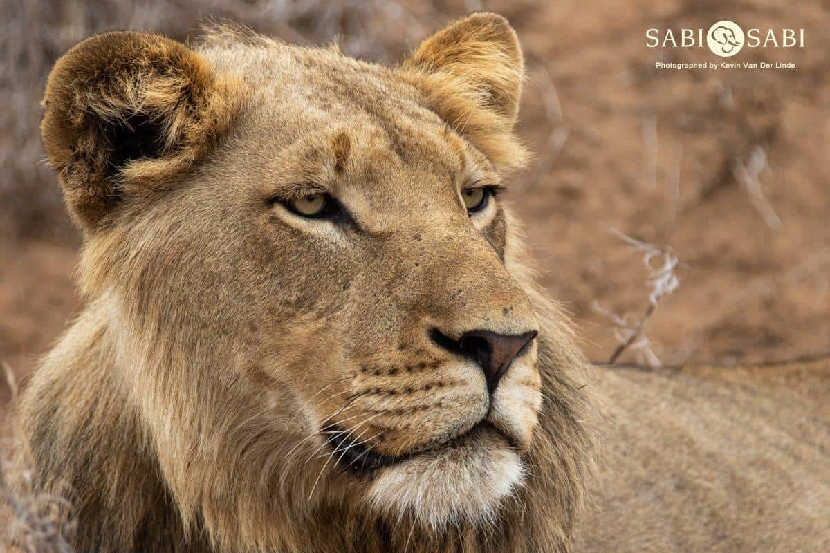 06Kevin Van Der Linde SP 19112018 Final