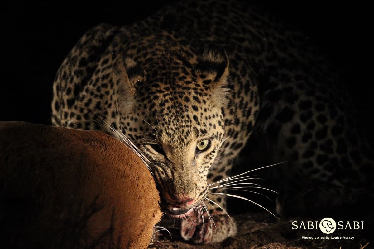 08Louise Murray Nstumi 06112018 7 Final