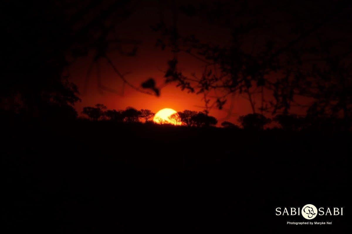 43Maryke Nel Sunset Dec 18 1 Final 43Maryke Nel Sunset Dec 18 1 Final