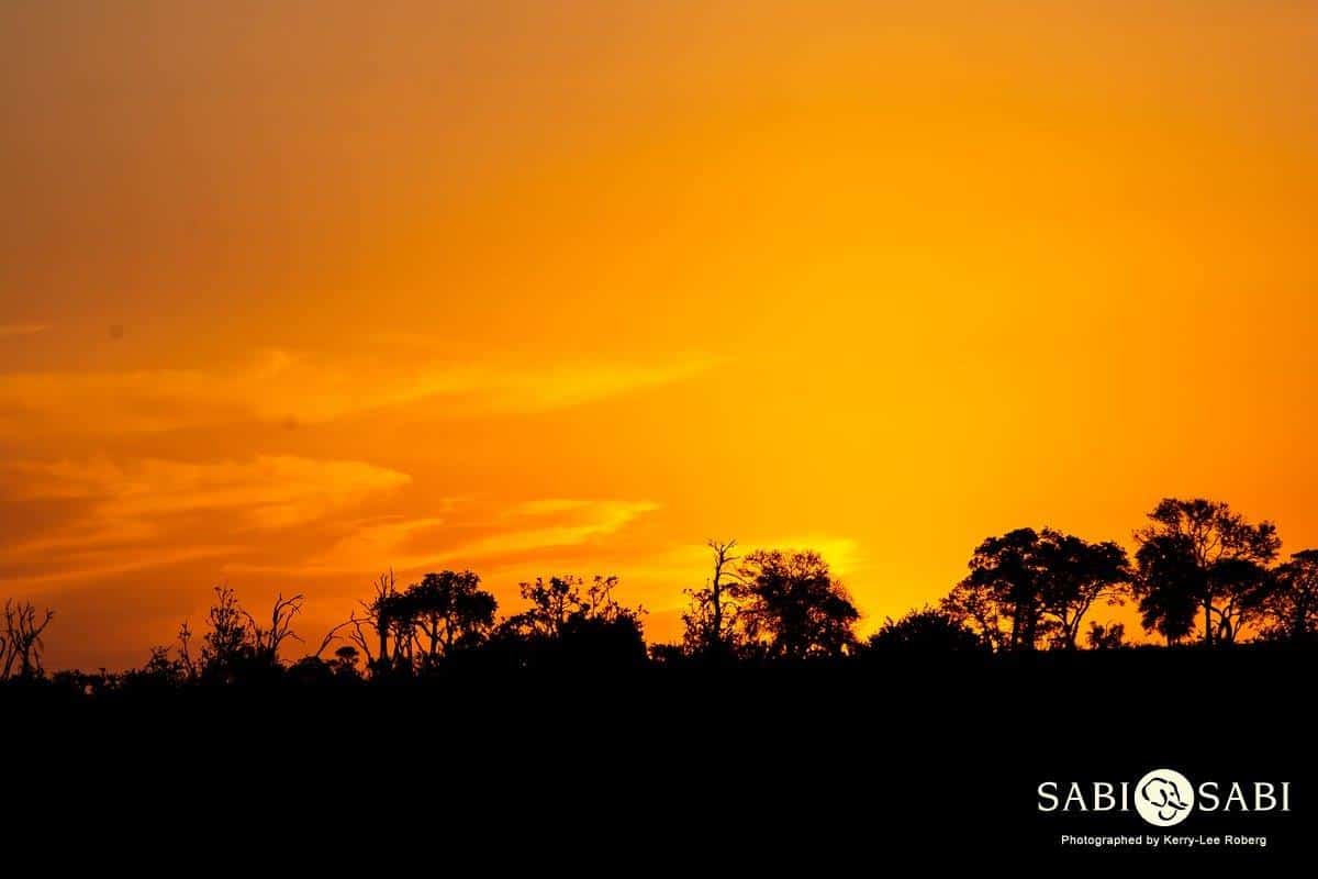 01Kerry Lee Roberg Sunset241218 Final 01Kerry Lee Roberg Sunset241218 Final