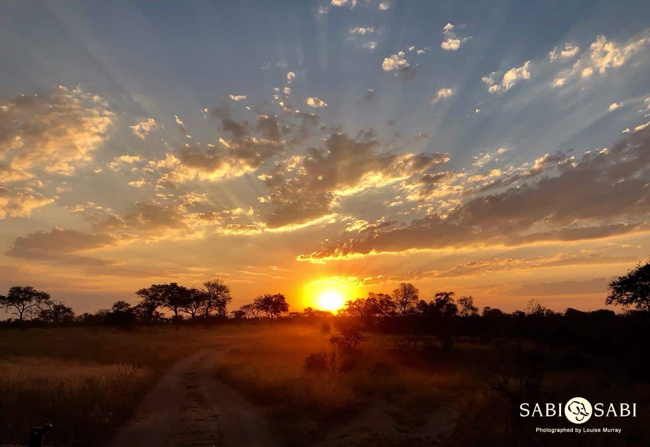 Louise Murray Sunset 12052018 1 Final