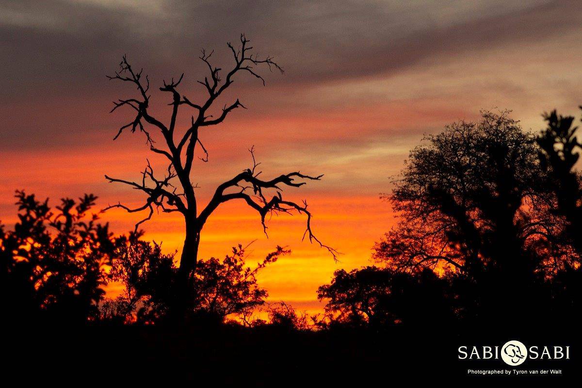 36Tyron Van Der Walt Sunset Rain Final 36Tyron Van Der Walt Sunset Rain Final