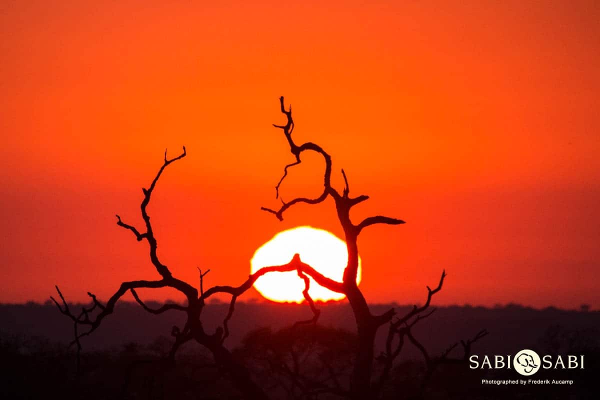 03Frederik Aucamp Sunrise Final