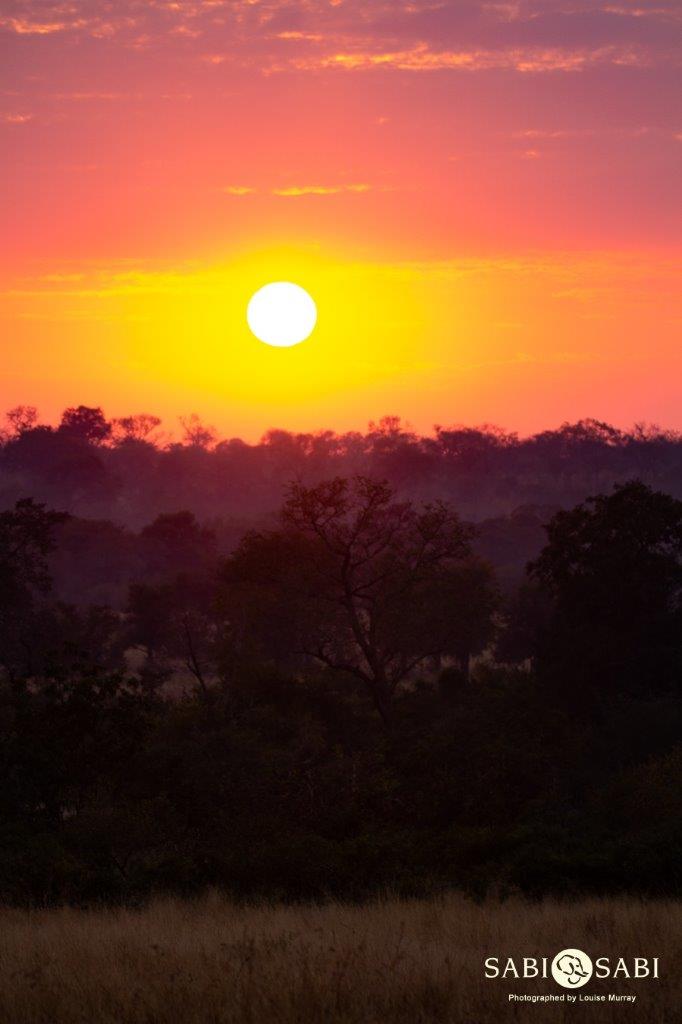 01Louise Murray Sunrise 26062019 Final 01Louise Murray Sunrise 26062019 Final