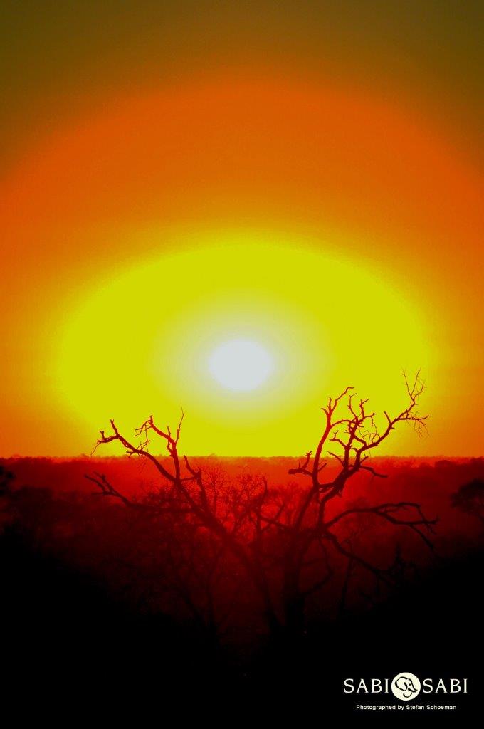 01Stefan Schoeman Sunrise 02072019 Final 01Stefan Schoeman Sunrise 02072019 Final
