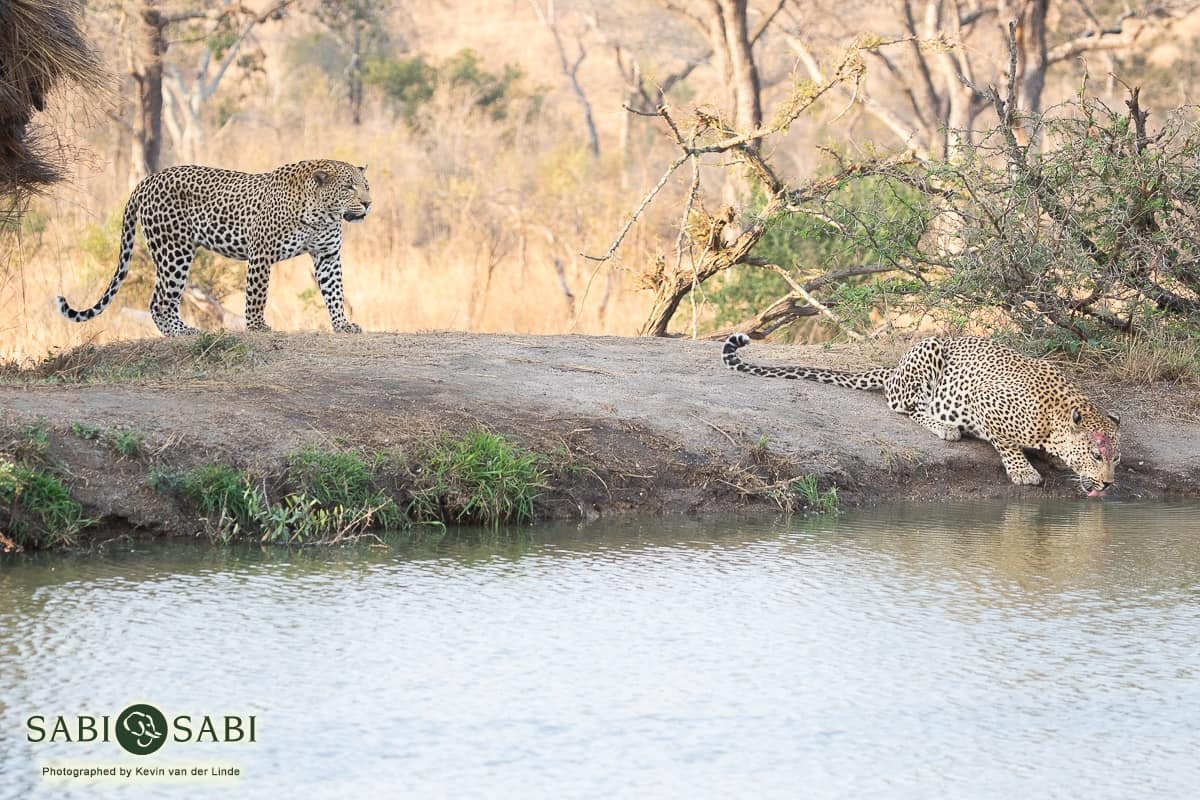 07 Kevin Van Der Linde Maxabeni White Dam 13082019 FINAL