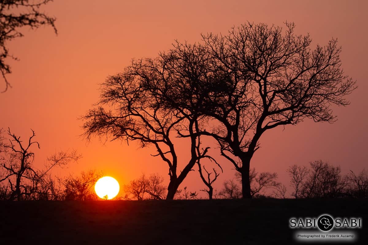38 Frederik Aucamp African Sunset 14 08 2019 38 Frederik Aucamp African Sunset 14 08 2019