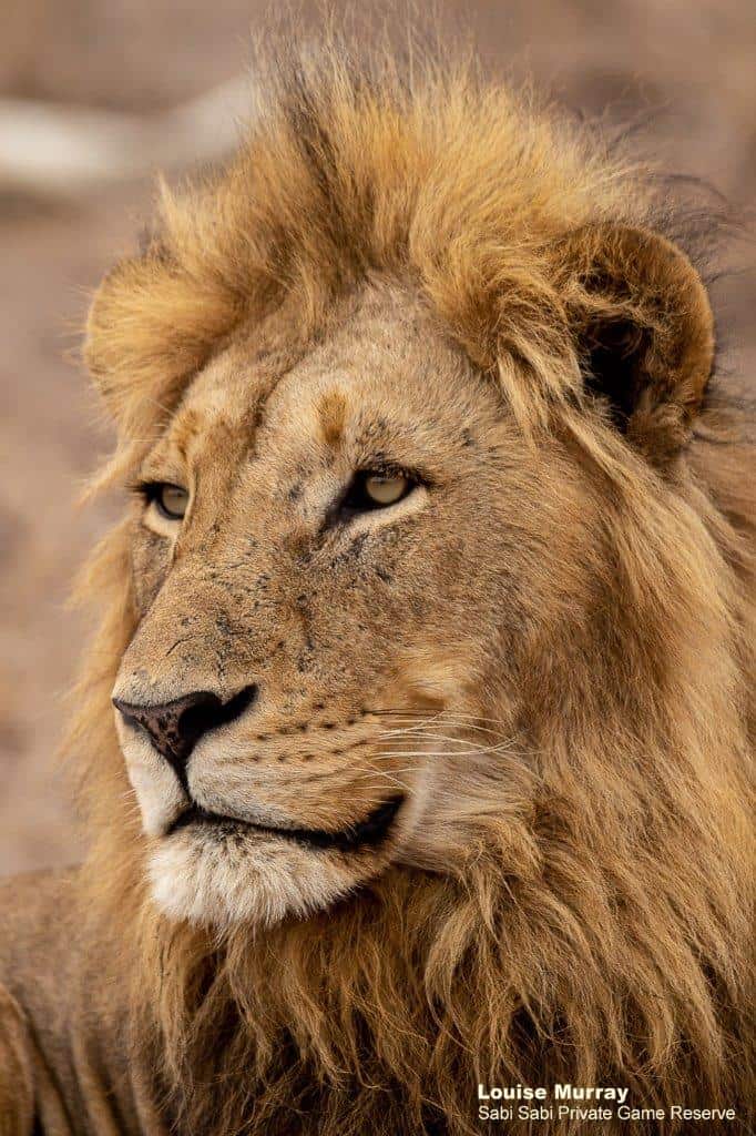 19Louise Murray Othawa And Mhangeni 15102019 Final