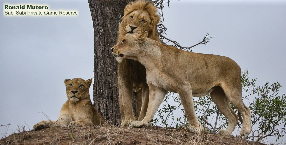 05Ronald Mutero Mhangeni And Otawa Male 13112019 8 Final