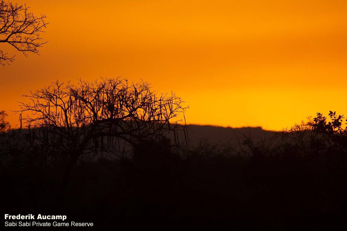 47Frederik Aucamp Bushveld Sunset 15 07 2019 Final 47Frederik Aucamp Bushveld Sunset 15 07 2019 Final