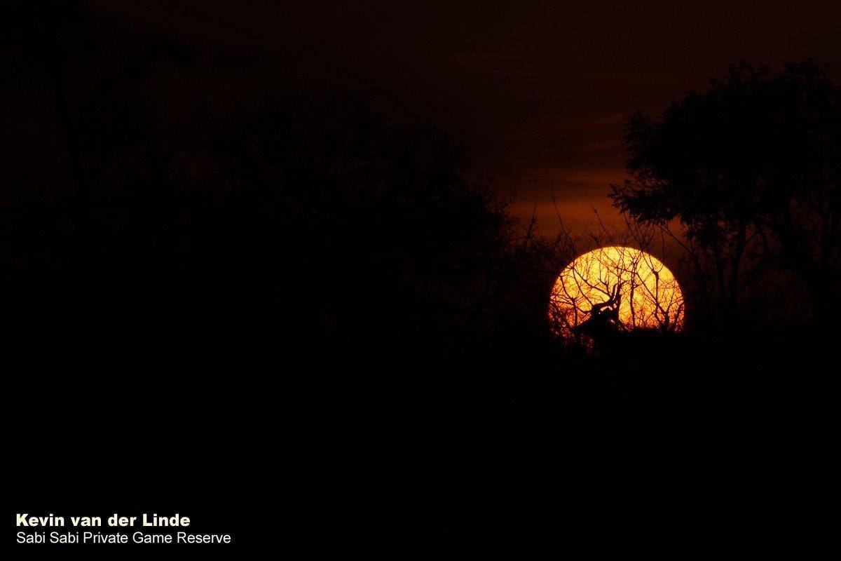 61Kevin Van Der Linde Sunset 30102019 2 Final 61Kevin Van Der Linde Sunset 30102019 2 Final