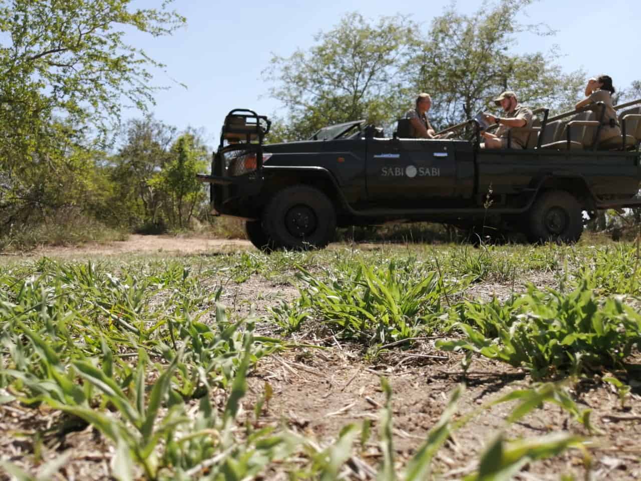 07Amy Roberts Big Birding 2019 2