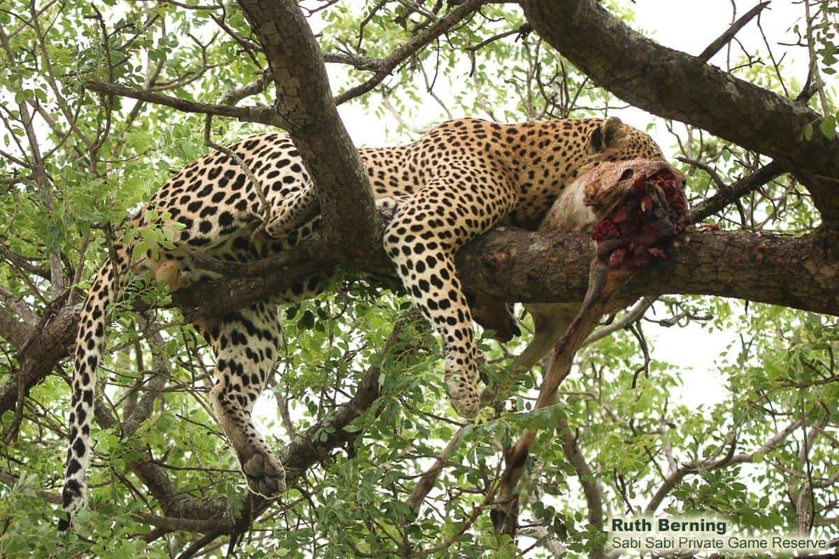 20Ruth Berning White Dam 16 12 19 2 Final