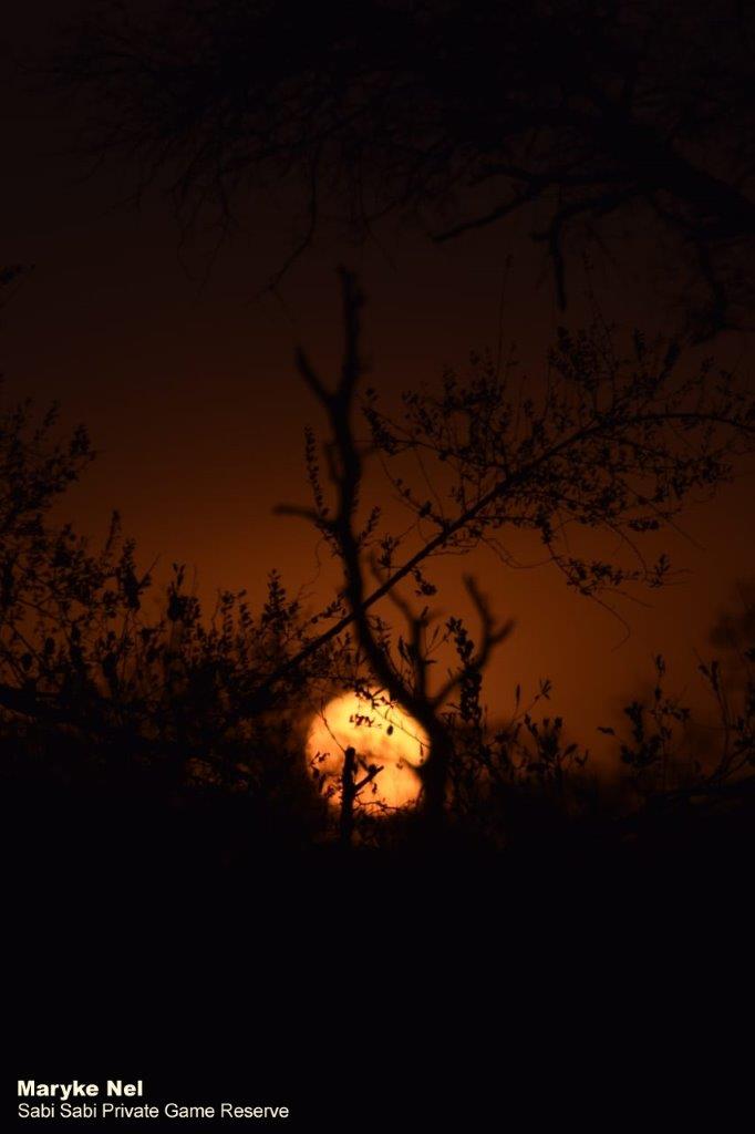 44Maryke Nel Sunset 24072019 1 Final 44Maryke Nel Sunset 24072019 1 Final