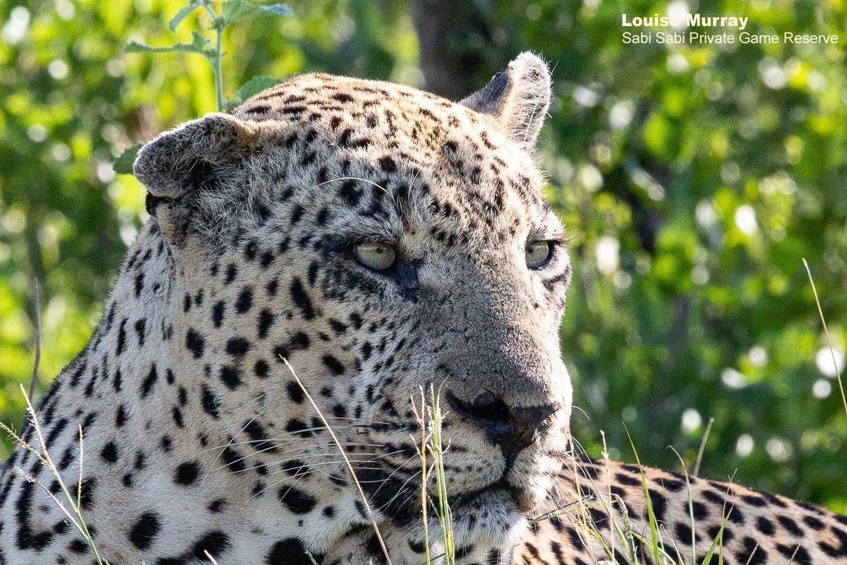 20Louise Murray Xovo 14022020 1 Final 20Louise Murray Xovo 14022020 1 Final