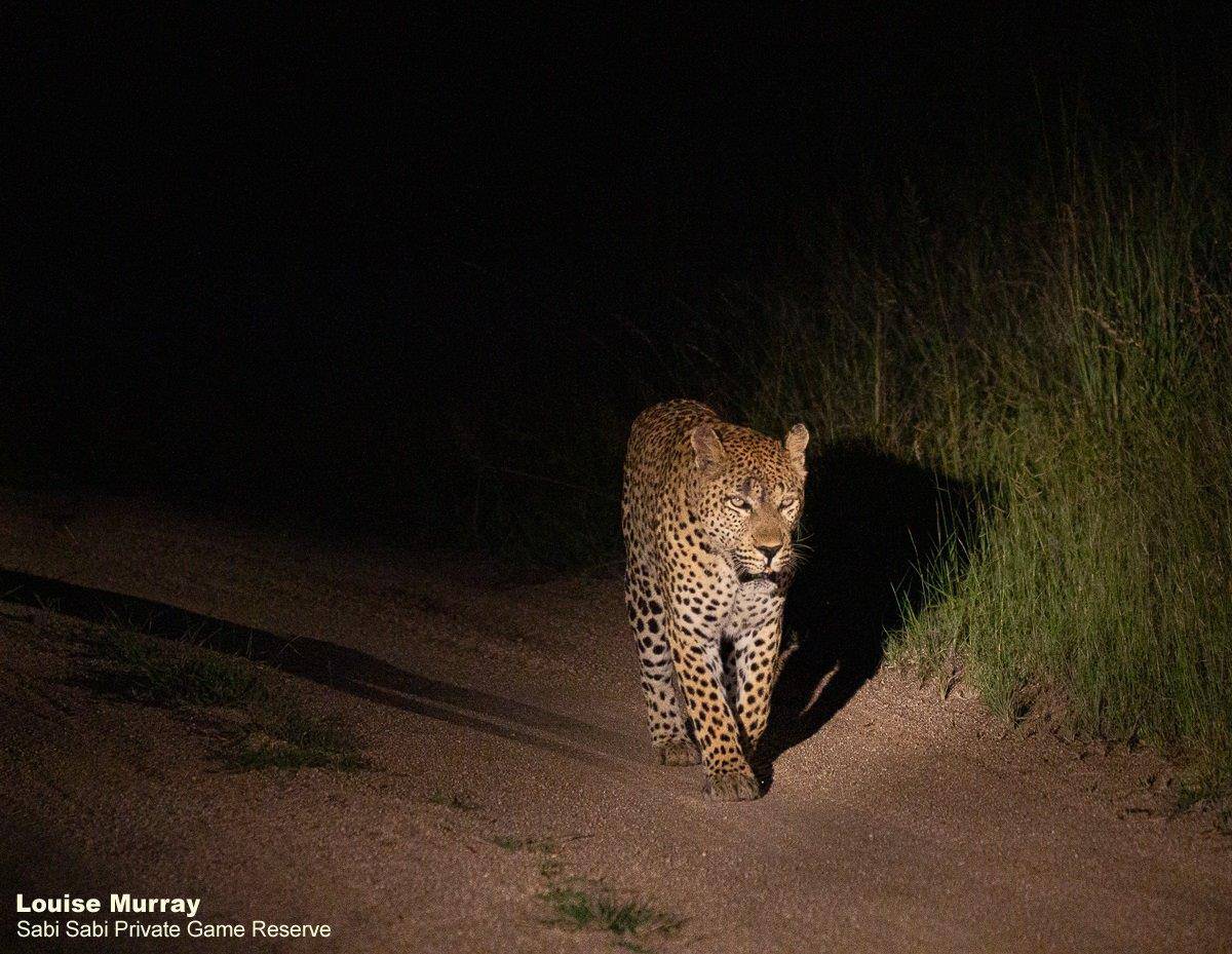 26Louise Murray Max 16022020 Final 26Louise Murray Max 16022020 Final
