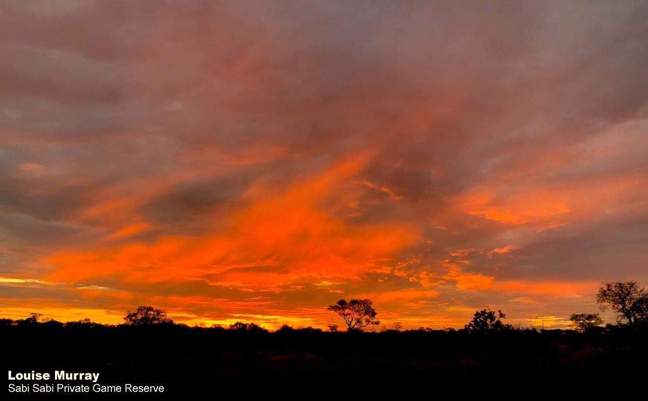 43Louise Murray Sunset 12112019 1 Crop Final 43Louise Murray Sunset 12112019 1 Crop Final