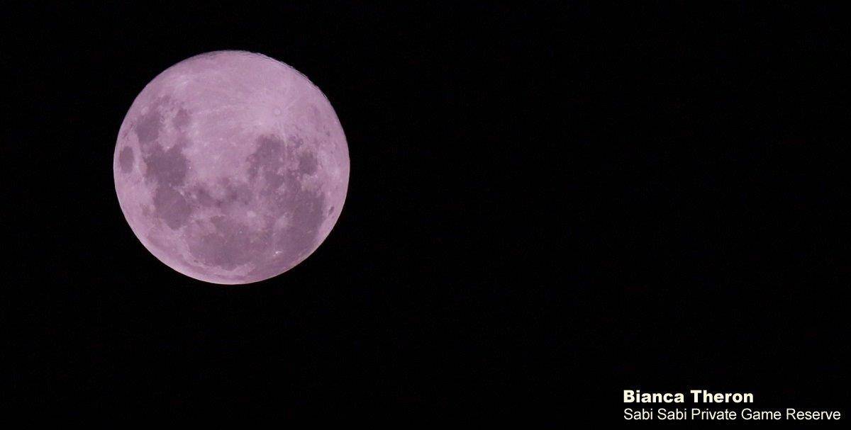 01Bianca Theron Full Moon 09032020 Final