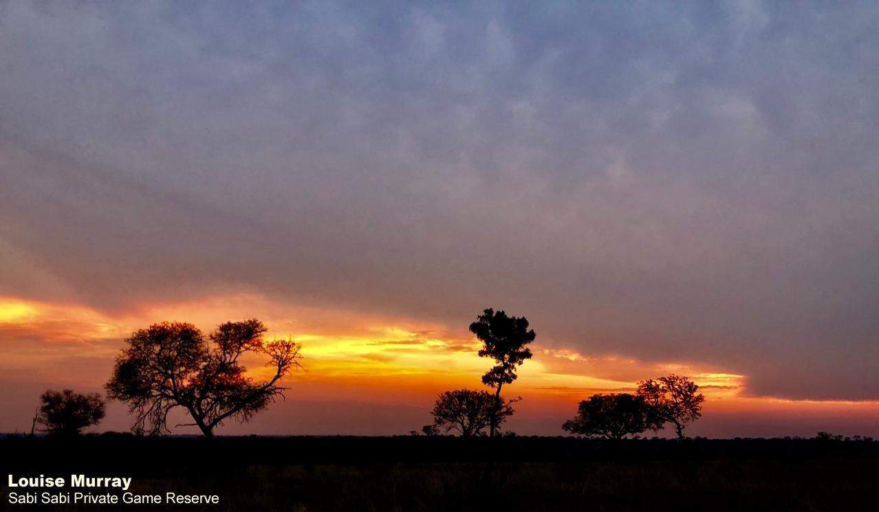 42Louise Murray Sunset 29102019 Edit Final