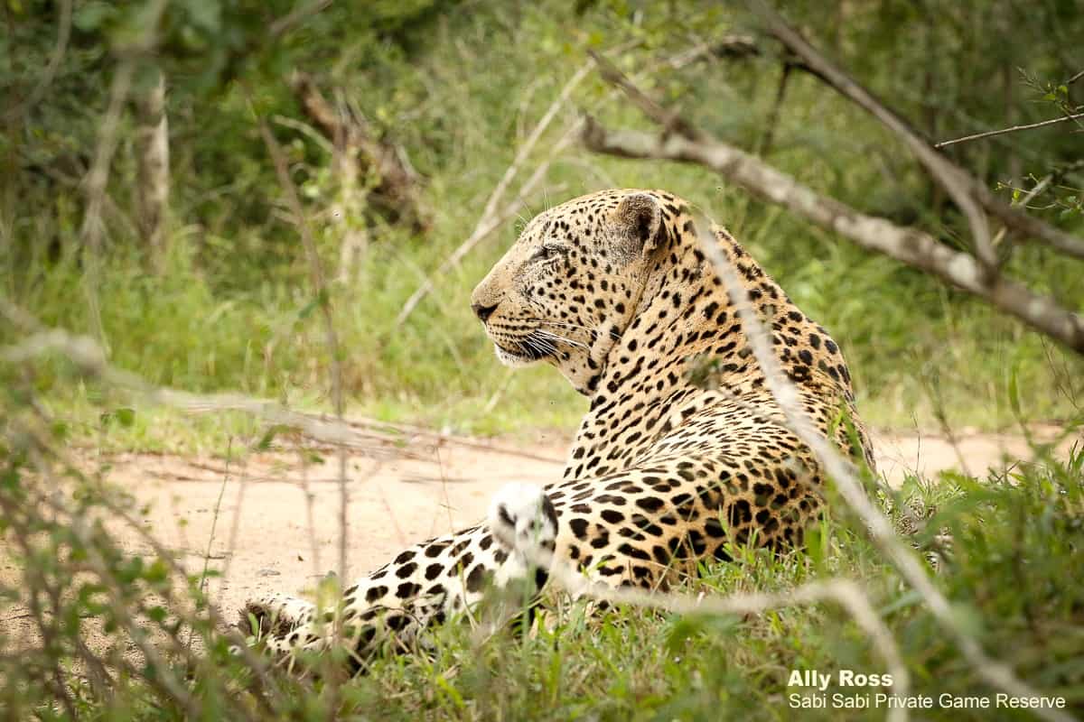 06Ally Ross 202004118 Xovo 06  Final