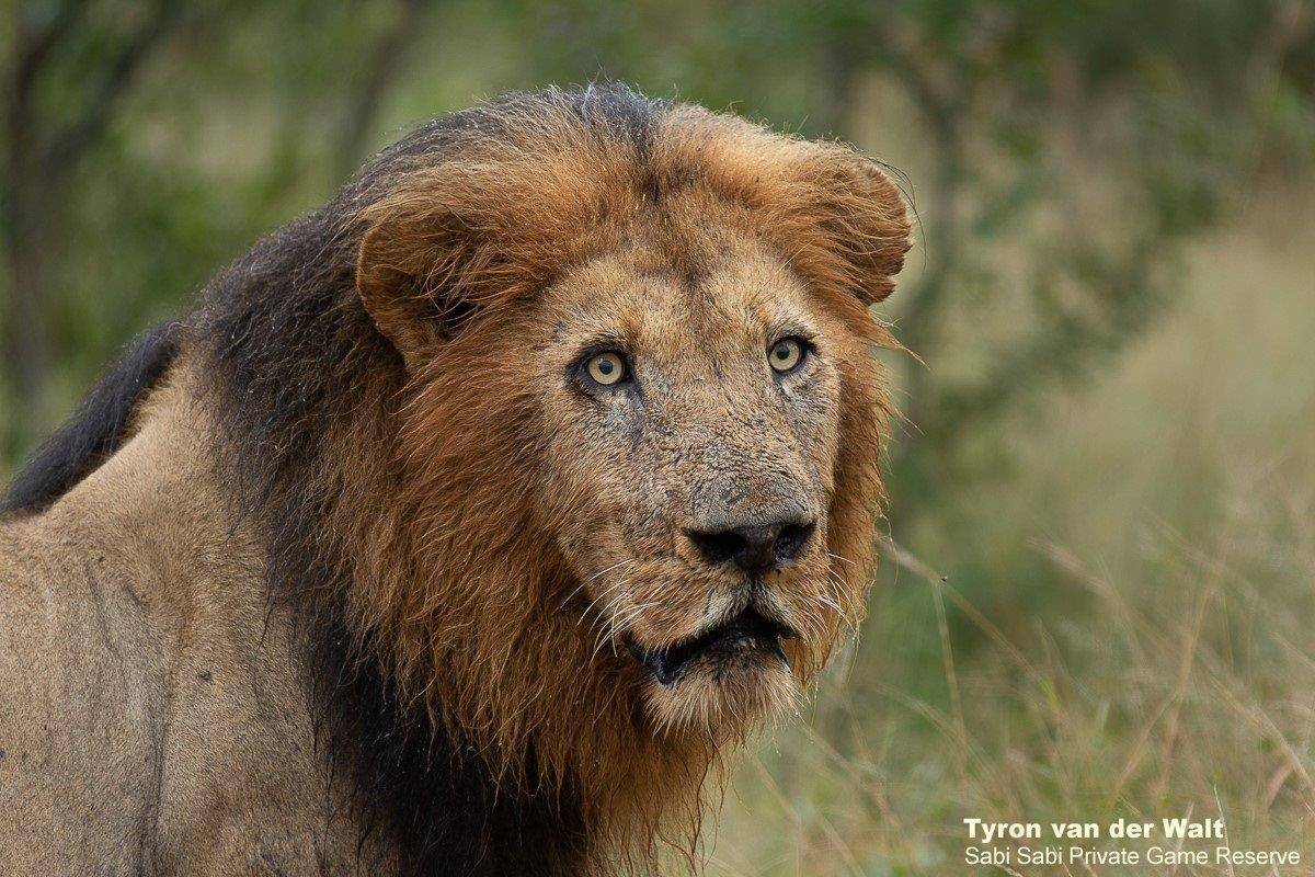 18Tyron Van Der Walt Birmingham Males 160420 2 Final