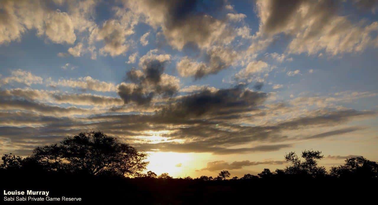 50Louise Murray Sunset 30032020 Crop Final 50Louise Murray Sunset 30032020 Crop Final