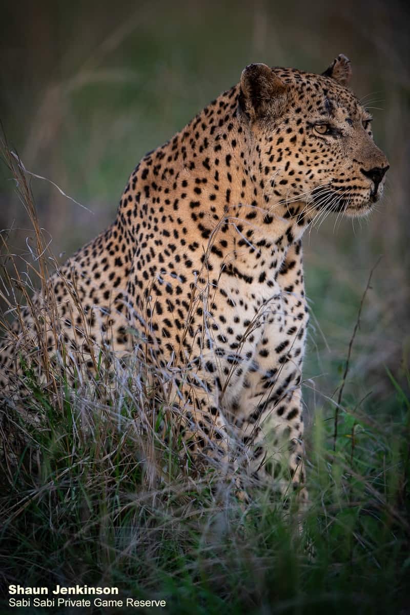 03Shaun Jenkinson Max 19 12 2019 3 Final