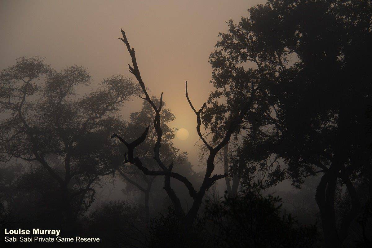 09Louise Murray Sunrise 05052020 4 Final