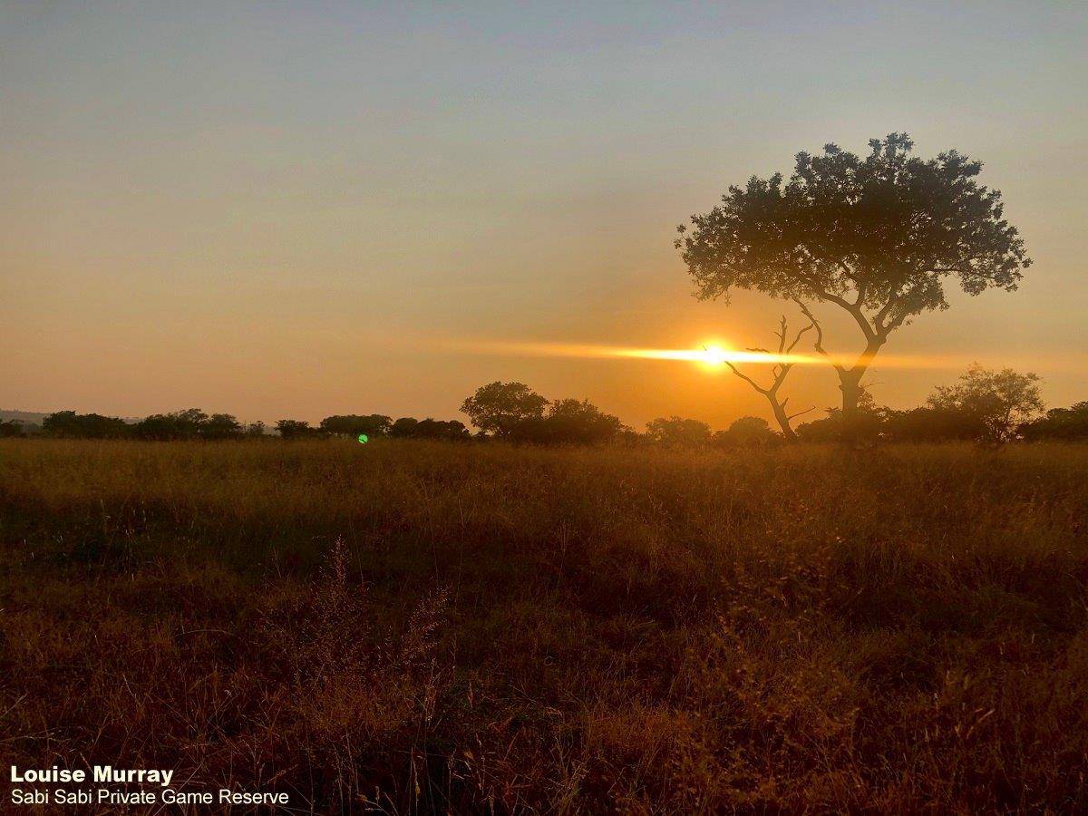 01Louise Murray Sunrise Western Section Final