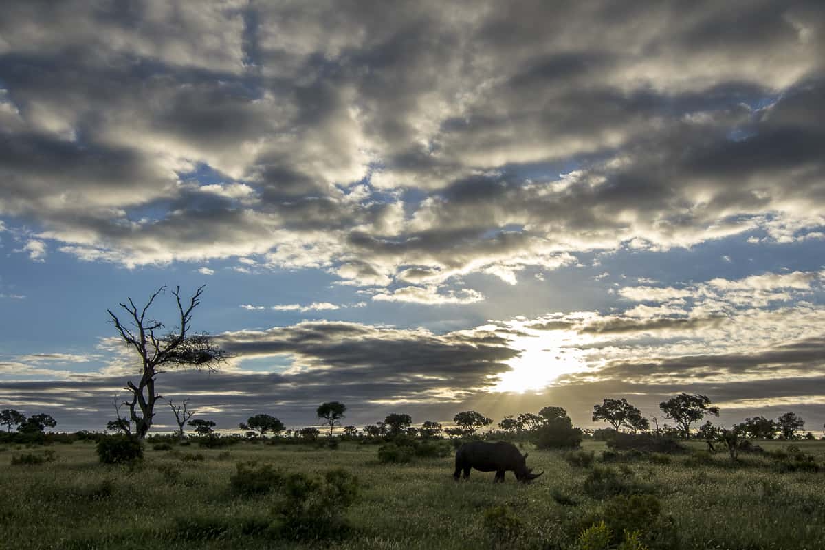 04Kyle 17 Jan 2017 African Sunset 04Kyle 17 Jan 2017 African Sunset