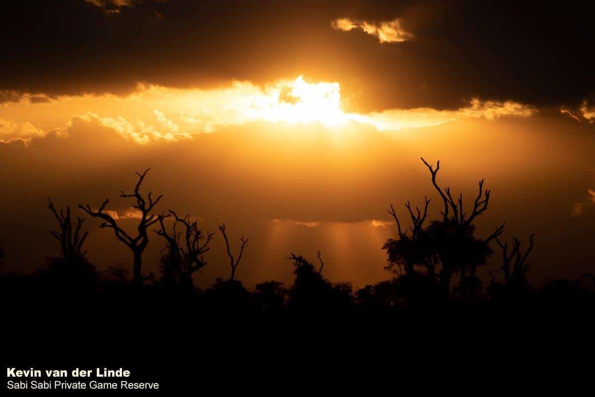 26Kevin Van Der Linde Sunset 21112018 Final