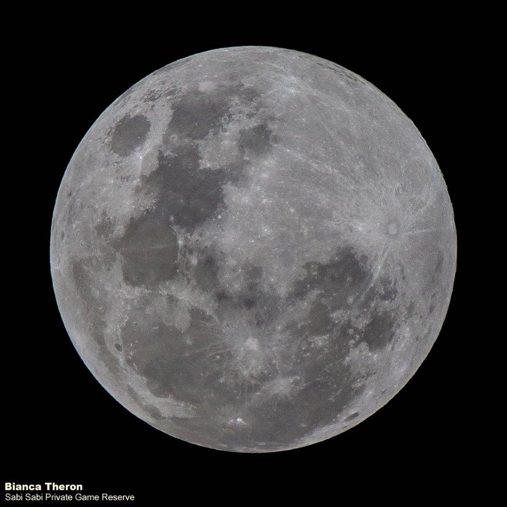 51Bianca Theron Full Moon 05062020 Final 51Bianca Theron Full Moon 05062020 Final